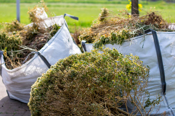 Best Estate Cleanout Services  in Douglass Hills, KY